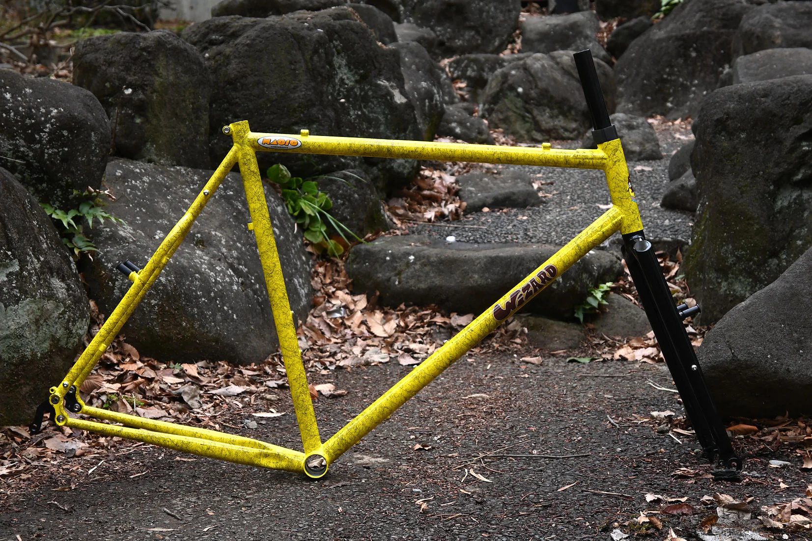 The Wizard frame